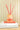 Fun Pop Reed Diffuser